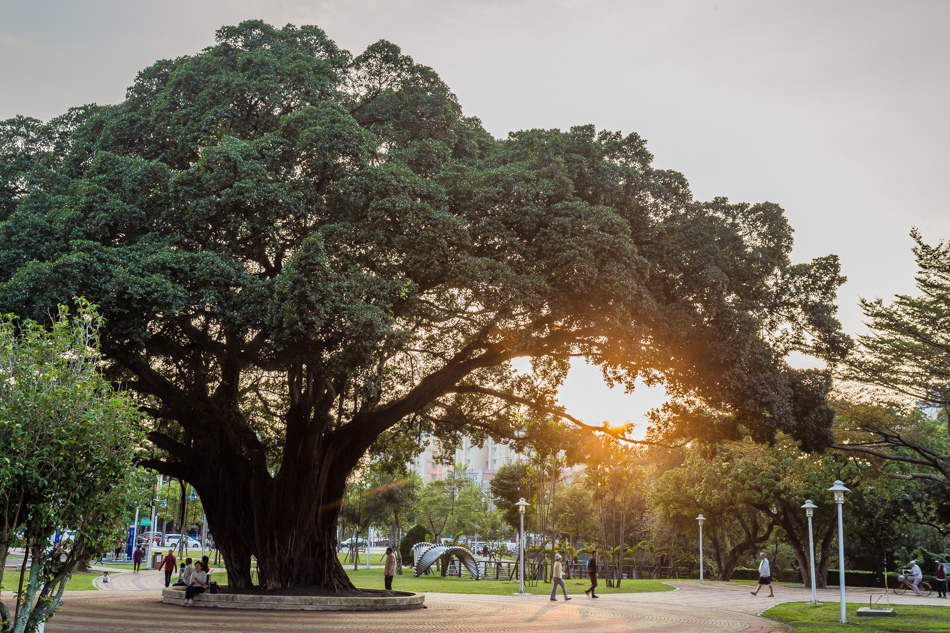屏東美食 - 鄰舍現烤桶仔雞/屏東千禧公園 屏東美食 - 鄰舍現烤桶仔雞/屏東千禧公園