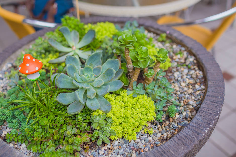 雅米廚房 雅米廚房