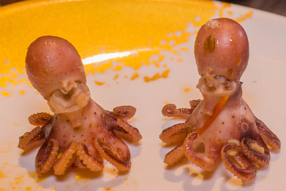 捷運美食 - 川堂紅預約制麻辣火鍋/生態園區美食 捷運美食 - 川堂紅預約制麻辣火鍋/生態園區美食