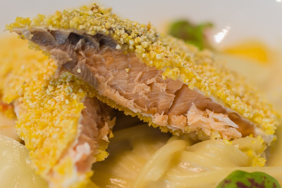 IMG_9785-2.jpg IMG_9785-2.jpg