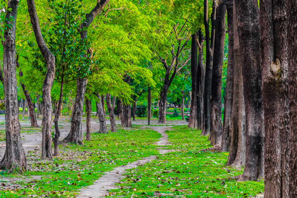 大東濕地公園