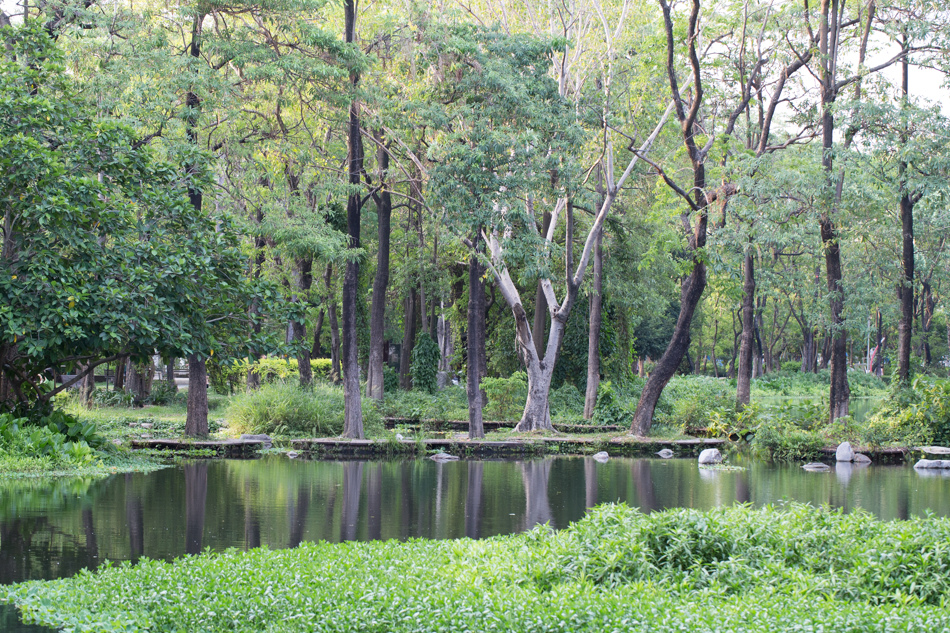 大東濕地公園