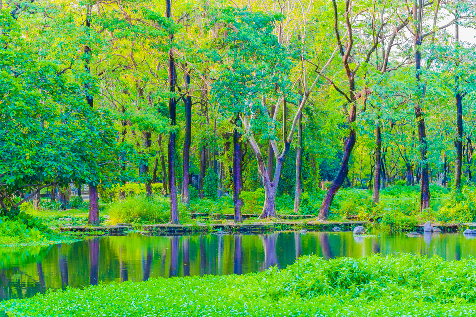 大東濕地公園