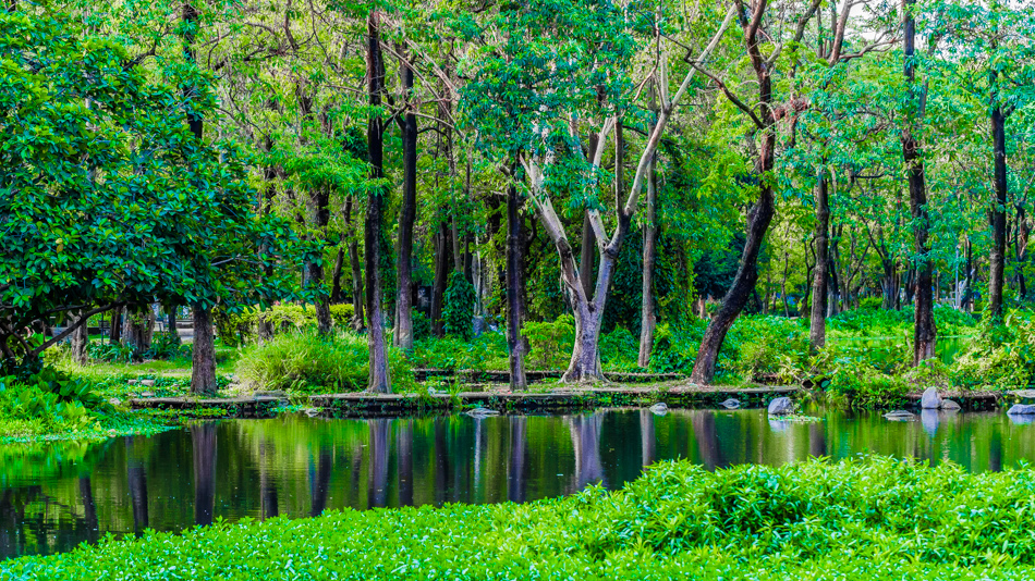 大東濕地公園