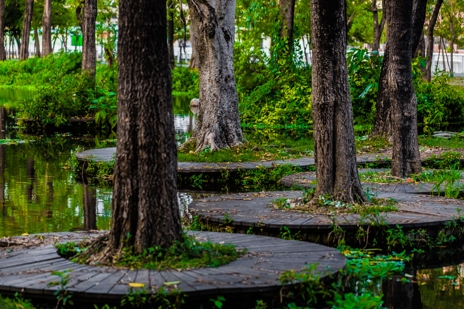 大東濕地公園