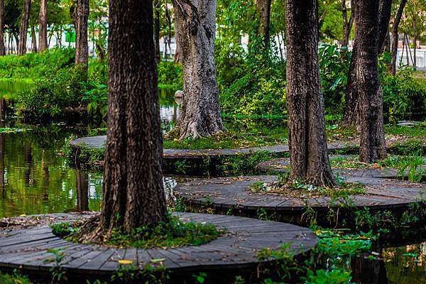 大東濕地公園