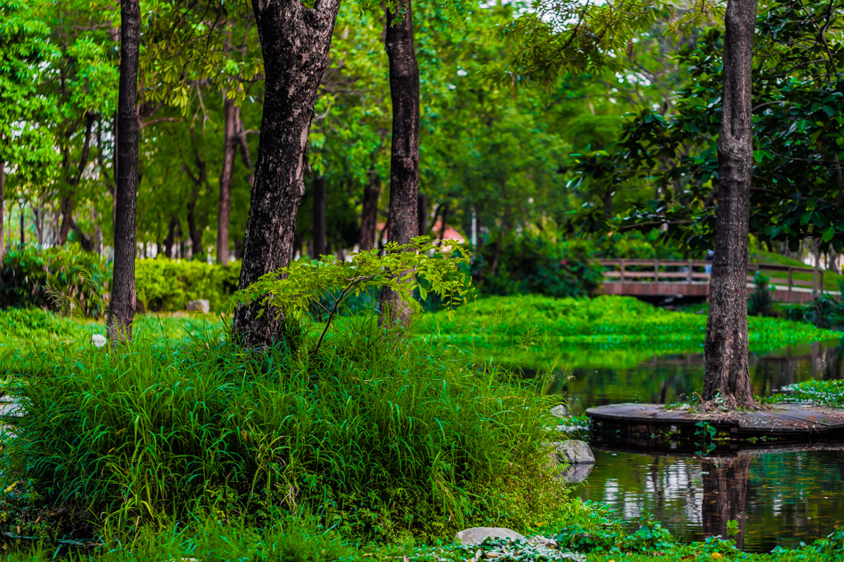 大東濕地公園