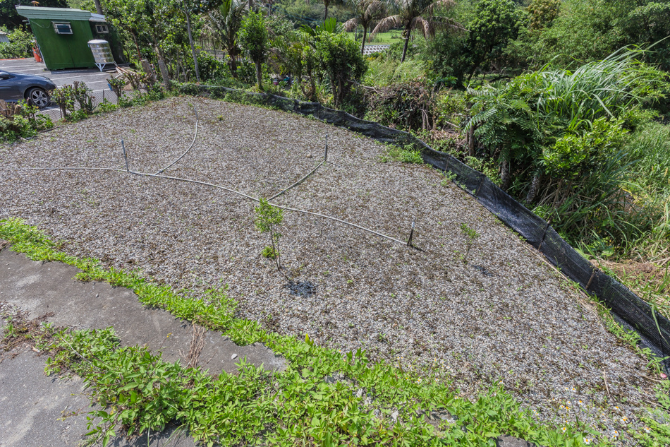 屏東滿州 - 小花雨來菇生態農場