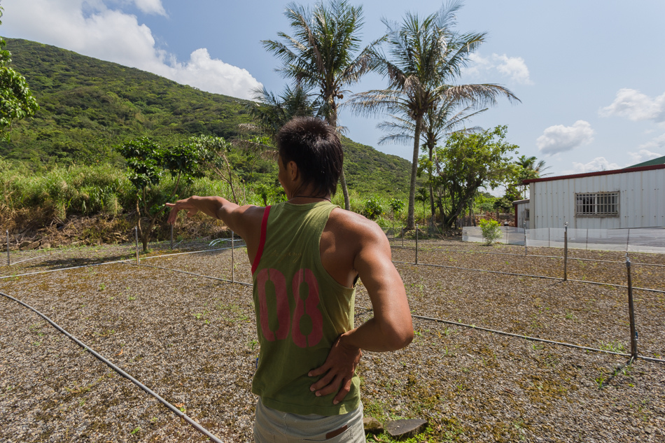 屏東滿州 - 小花雨來菇生態農場 屏東滿州 - 小花雨來菇生態農場