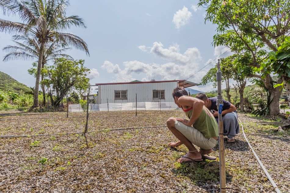 屏東滿州 - 小花雨來菇生態農場 屏東滿州 - 小花雨來菇生態農場