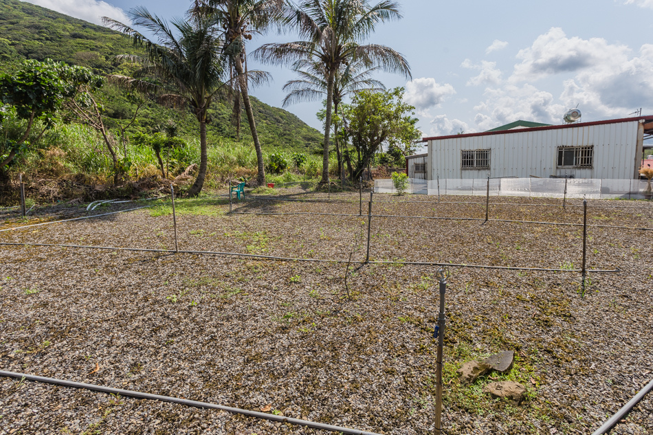 屏東滿州 - 小花雨來菇生態農場 屏東滿州 - 小花雨來菇生態農場