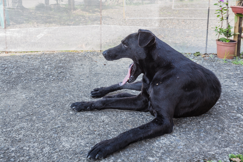 屏東滿州 - 小花雨來菇生態農場 屏東滿州 - 小花雨來菇生態農場