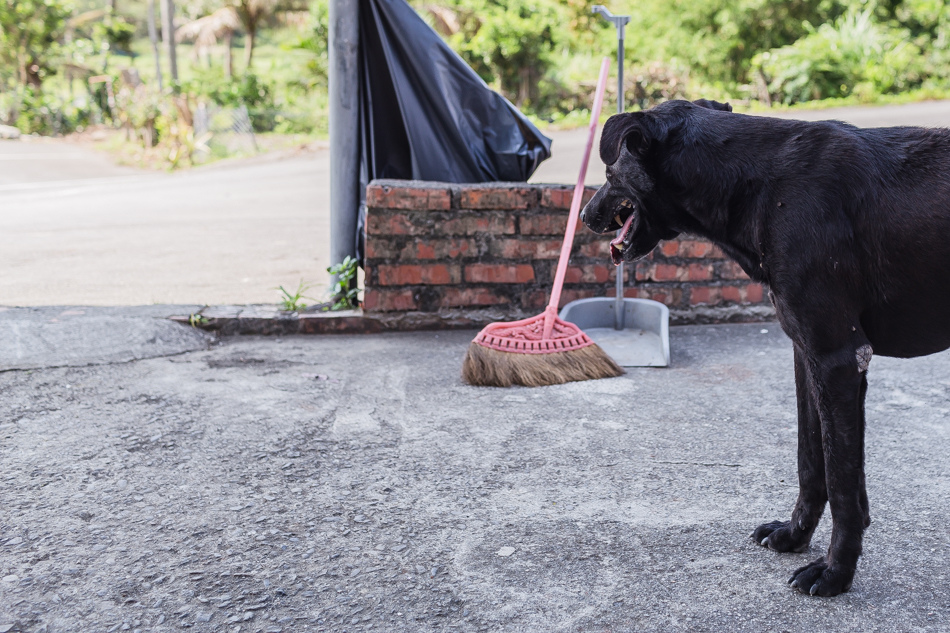 屏東滿州 - 小花雨來菇生態農場 屏東滿州 - 小花雨來菇生態農場