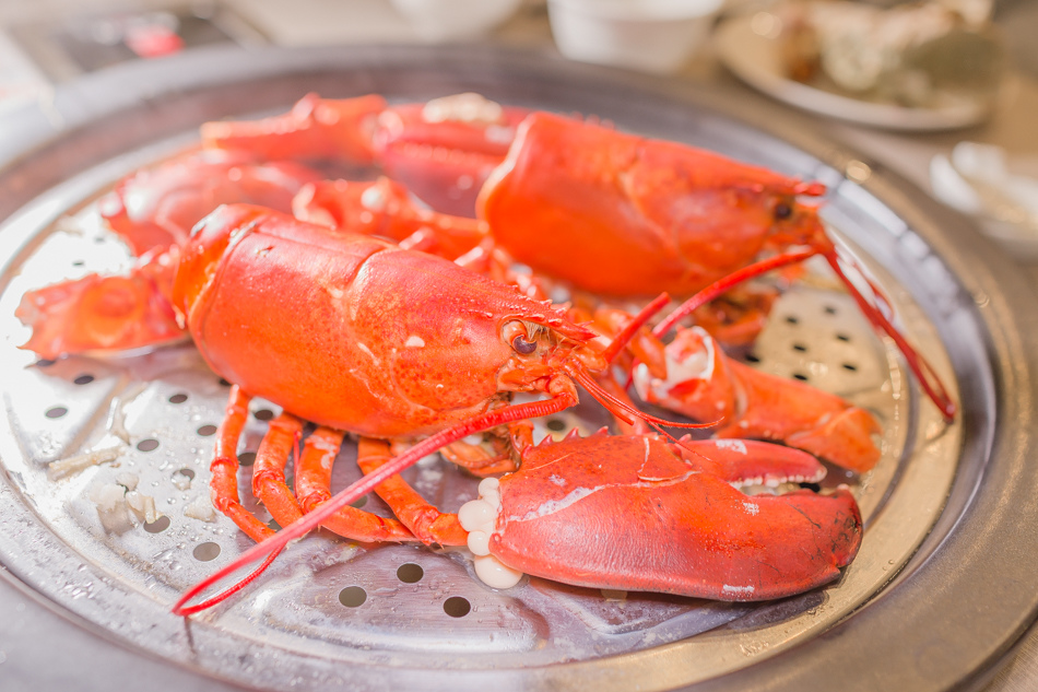 蒸海鮮 台中海鮮餐廳 台中帝王蟹 蒸籠宴 台中蒸海鮮 海鮮餐廳 婚宴會場 蒸海鮮 台中海鮮餐廳 台中帝王蟹 蒸籠宴 台中蒸海鮮 海鮮餐廳 婚宴會場