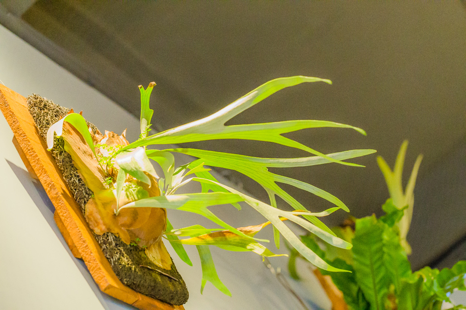 小酌 FEWdrink x ELAV愛拉芙獨立精釀 小酌 FEWdrink x ELAV愛拉芙獨立精釀