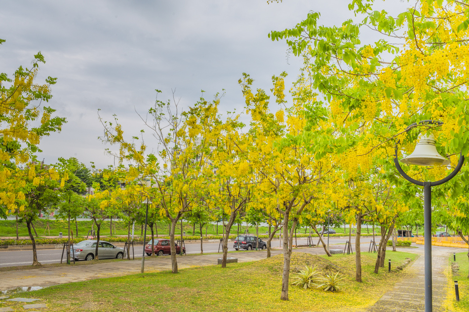 高雄賞花地點