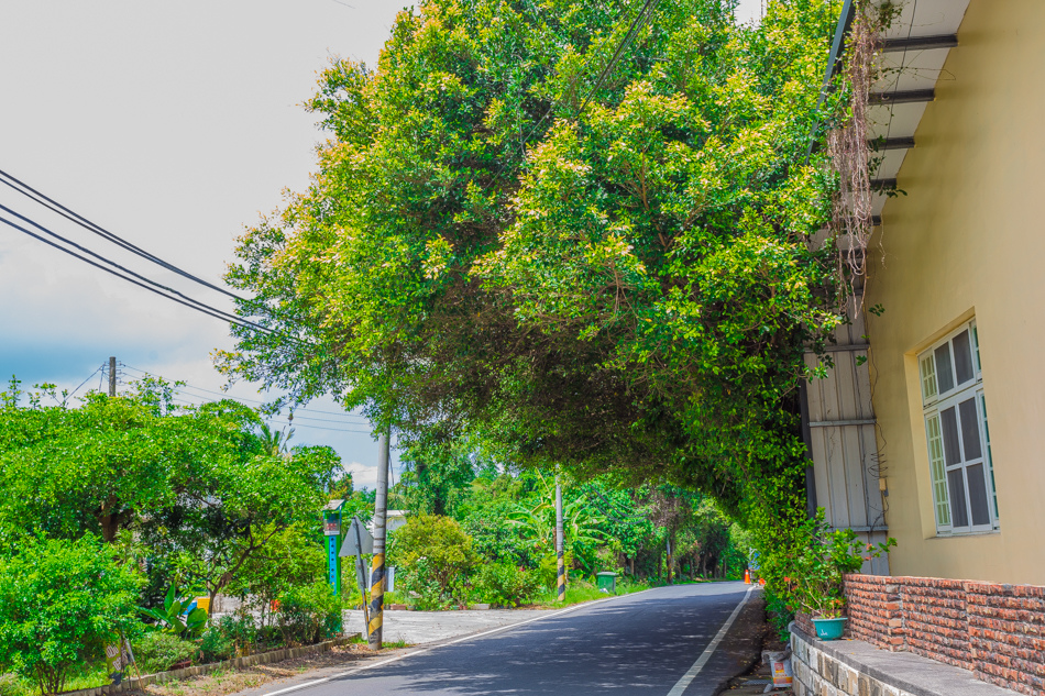 同記肉圓米糕 同記肉圓米糕