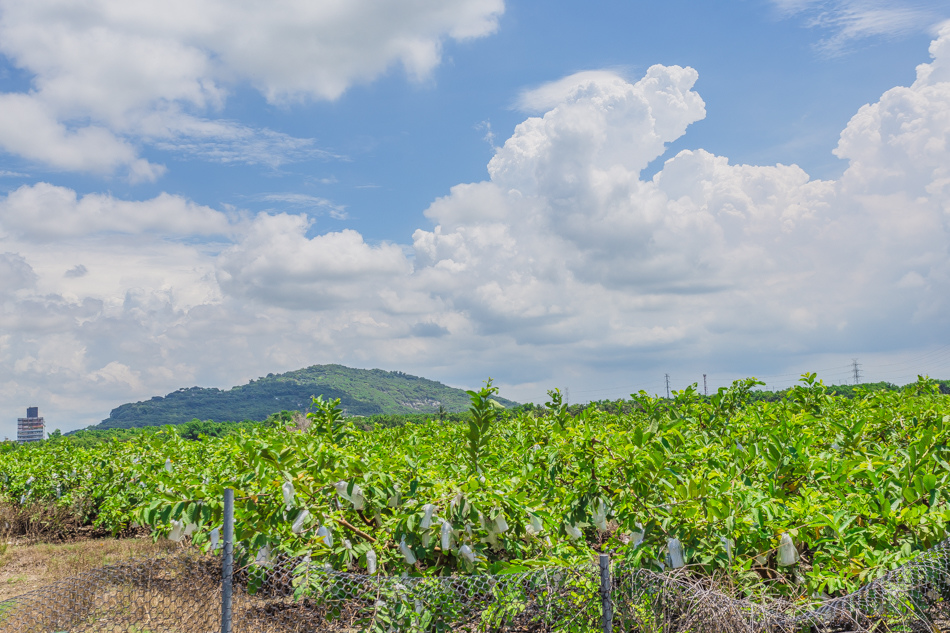 同記肉圓米糕 同記肉圓米糕