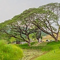 阿公店森林公園