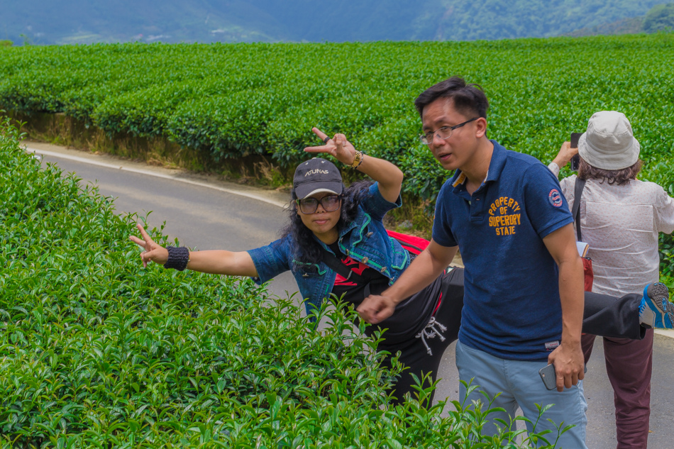 嘉義旅遊 /  龍眼林茶 大山自在民宿