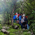 嘉義旅遊 /  龍眼林茶 大山自在民宿