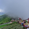 嘉義旅遊 /  龍眼林茶 大山自在民宿