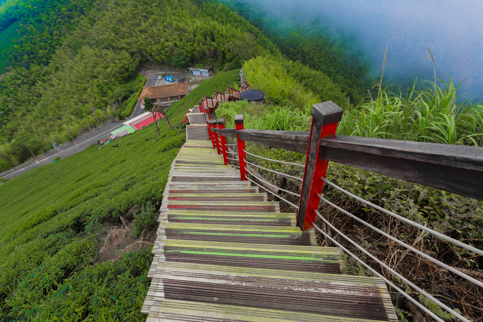 嘉義旅遊 /  龍眼林茶 大山自在民宿