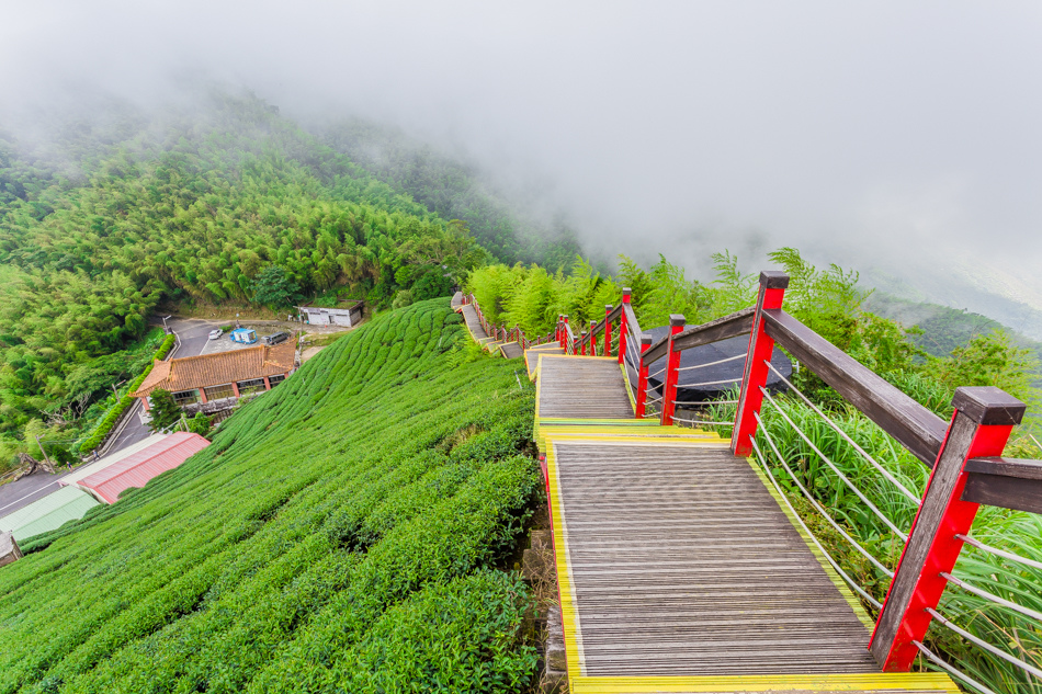 嘉義旅遊 / 龍眼林茶 大山自在民宿