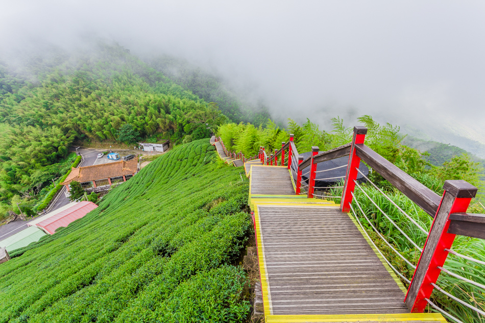 嘉義旅遊 /  龍眼林茶 大山自在民宿