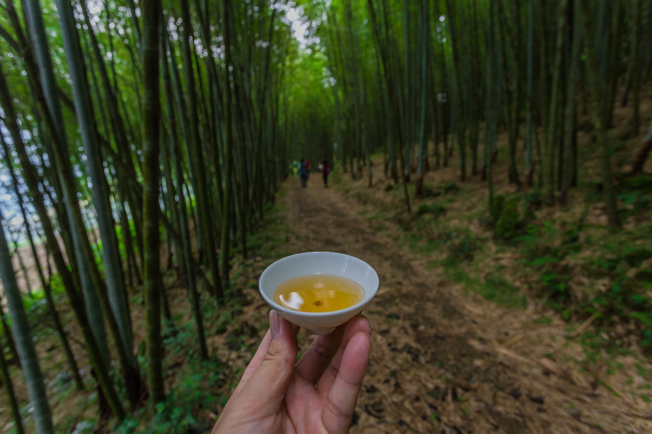 嘉義旅遊 /  龍眼林茶 大山自在民宿