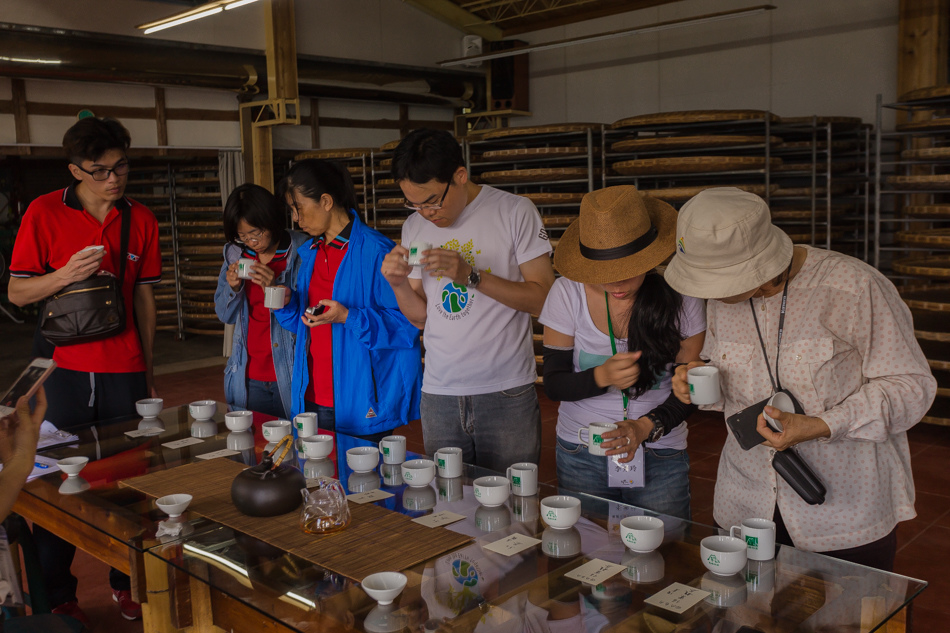 嘉義旅遊 /  龍眼林茶 大山自在民宿