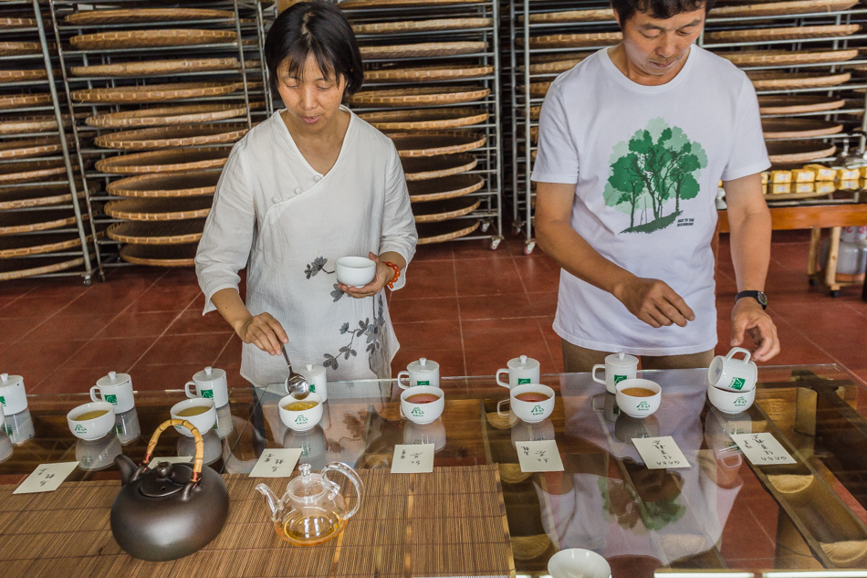 嘉義旅遊 /  龍眼林茶 大山自在民宿