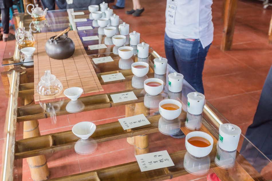 嘉義旅遊 /  龍眼林茶 大山自在民宿