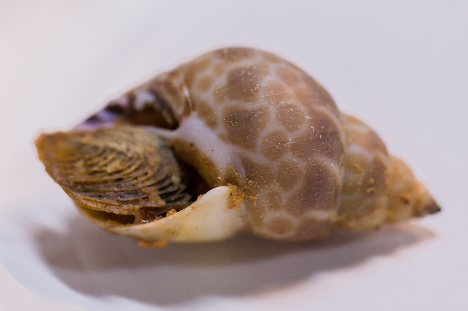 台中美食 - 第一青海鮮燒物