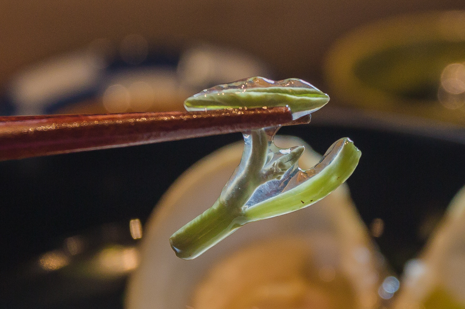 高雄鷡菜單料理 - 次郎壽司 高雄鷡菜單料理 - 次郎壽司