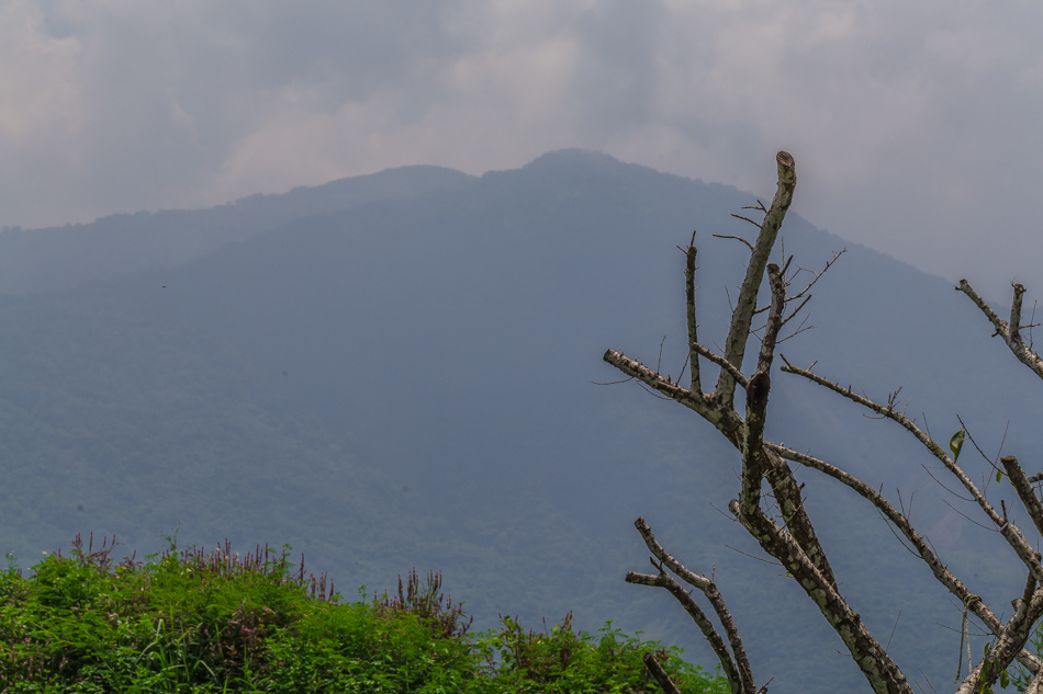 高雄旅遊 - 桃源區建山里 高雄旅遊 - 桃源區建山里