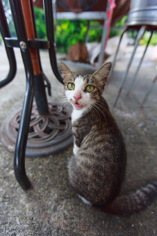 瘋山城部落假日藝術市集暨展演活動 瘋山城部落假日藝術市集暨展演活動