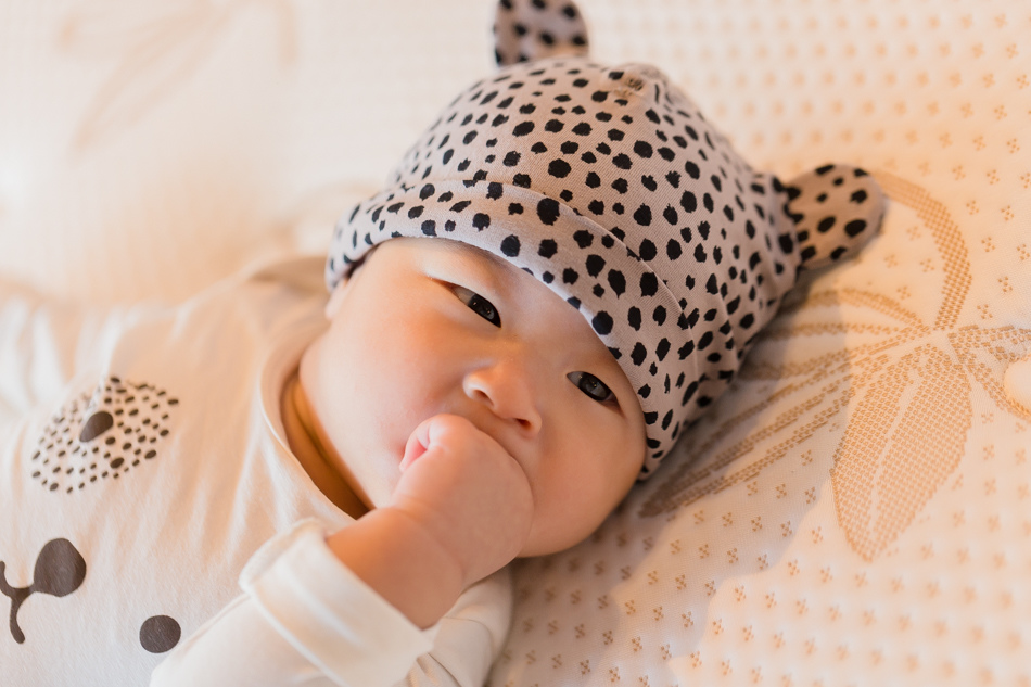 003-德國雷本舒特名床星曲AGRO-004.jpg 003-德國雷本舒特名床星曲AGRO-004.jpg