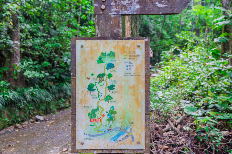 黃蝶翠谷雙溪熱帶樹木園