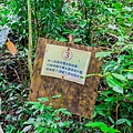 黃蝶翠谷雙溪熱帶樹木園