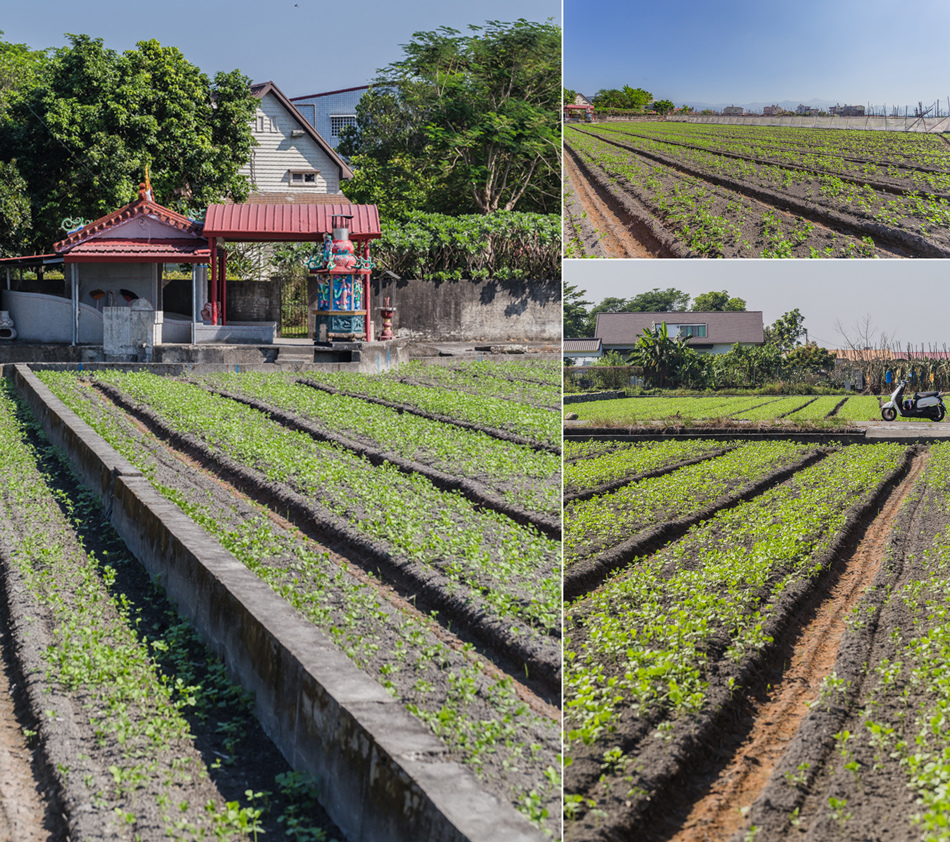 南興社區土地公踩點 南興社區土地公踩點