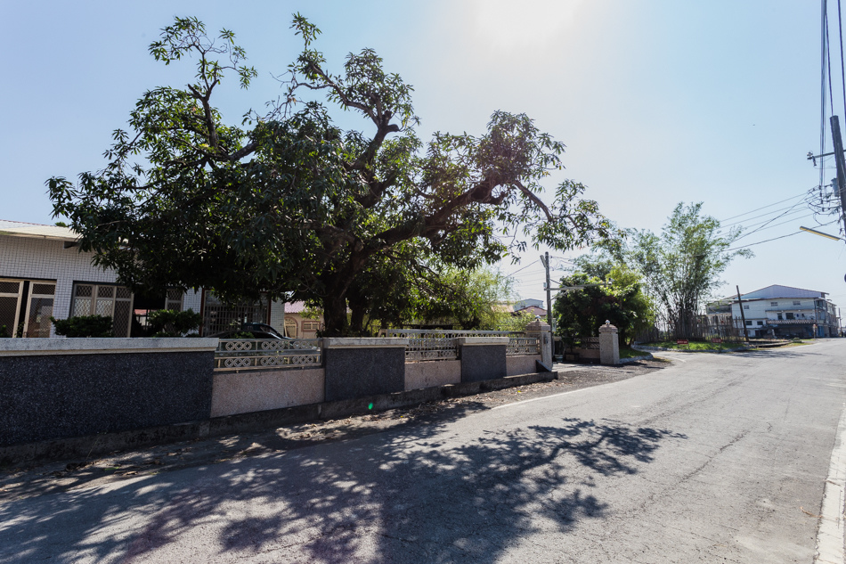 南興社區土地公踩點 南興社區土地公踩點