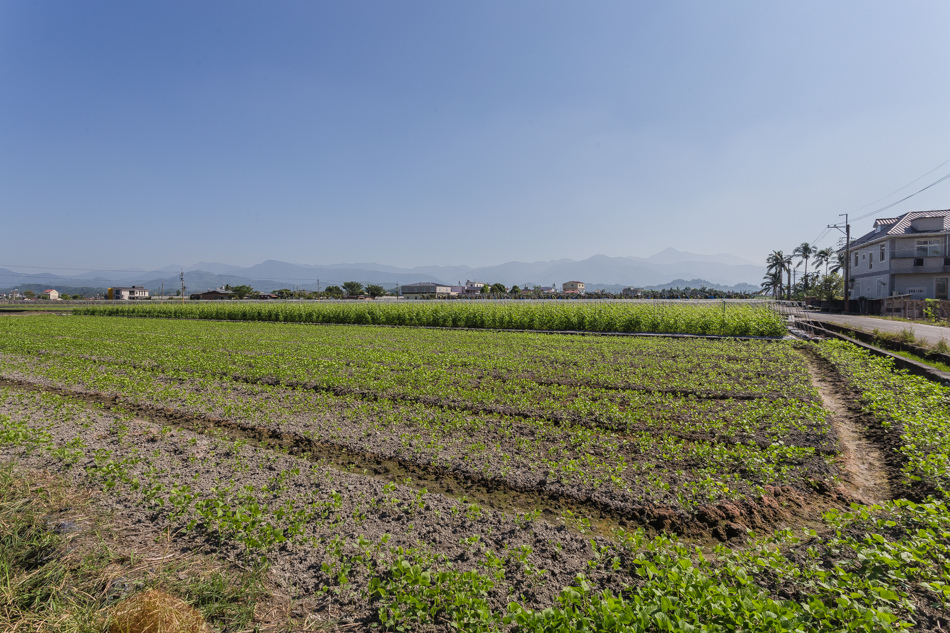 南興社區土地公踩點 南興社區土地公踩點