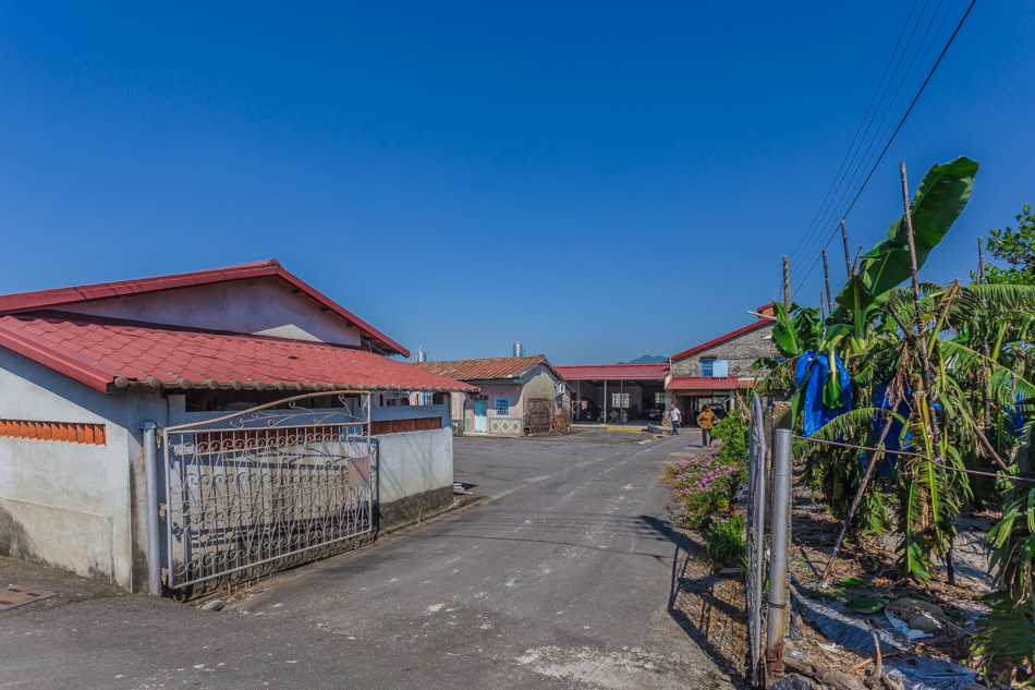 南興社區土地公踩點 南興社區土地公踩點