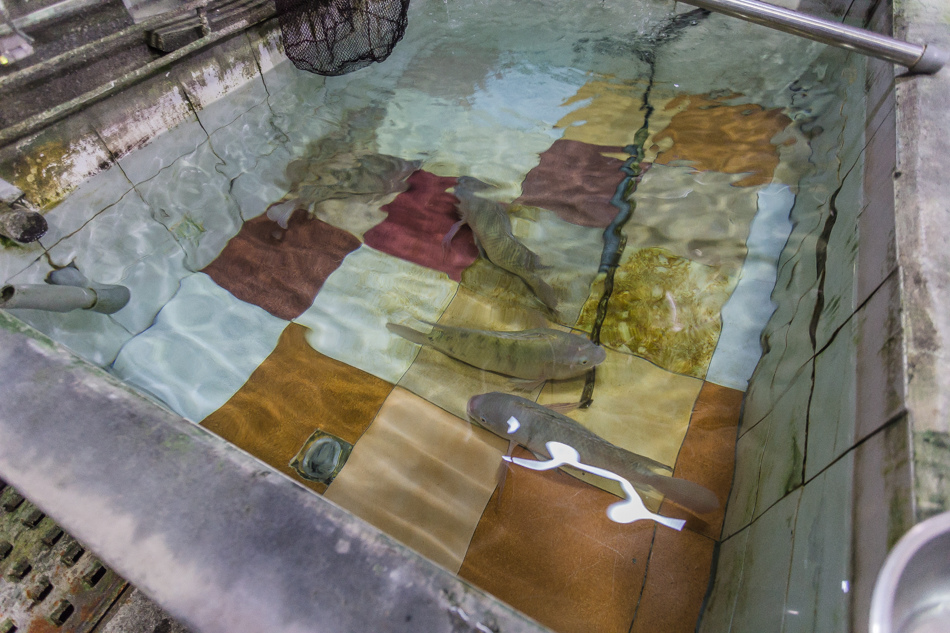 美濃美都牛雜湯 美濃美都牛雜湯