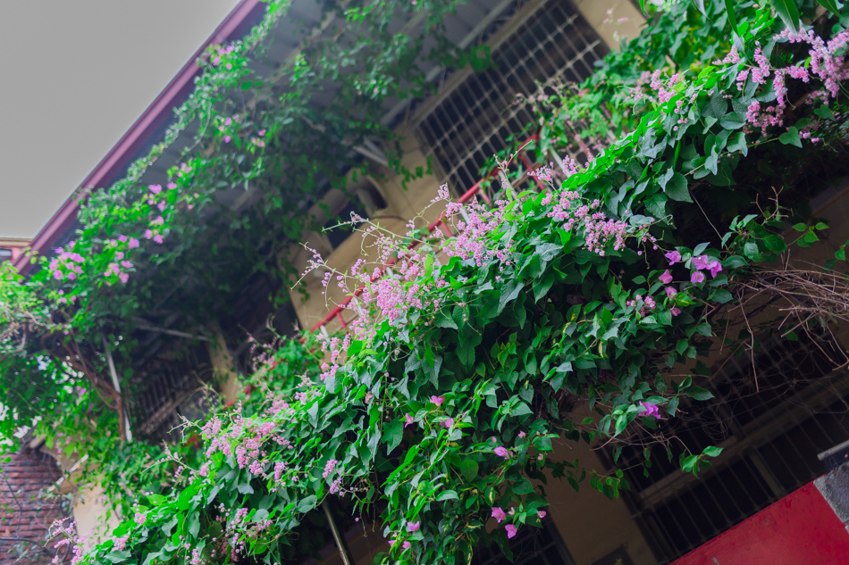 台鋁七巷芙兒鬆餅