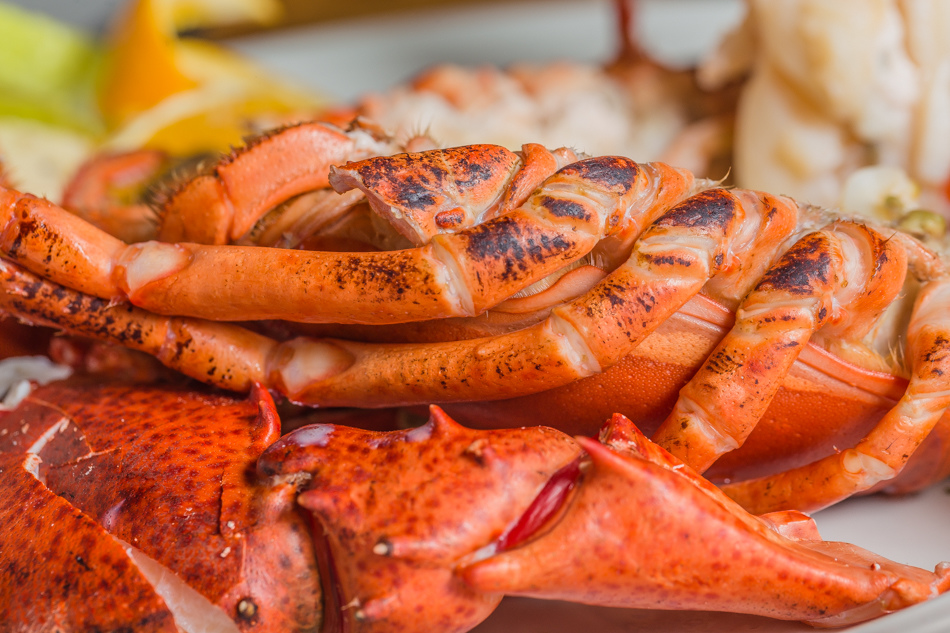 苓雅區美食 - 覓奇頂級料理 苓雅區美食 - 覓奇頂級料理