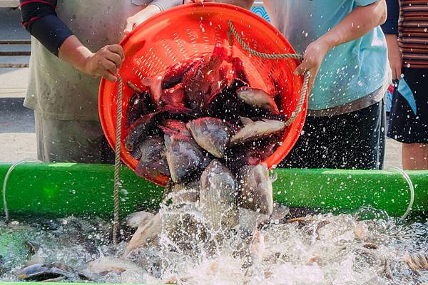 2016茄定烏魚海鮮美食節