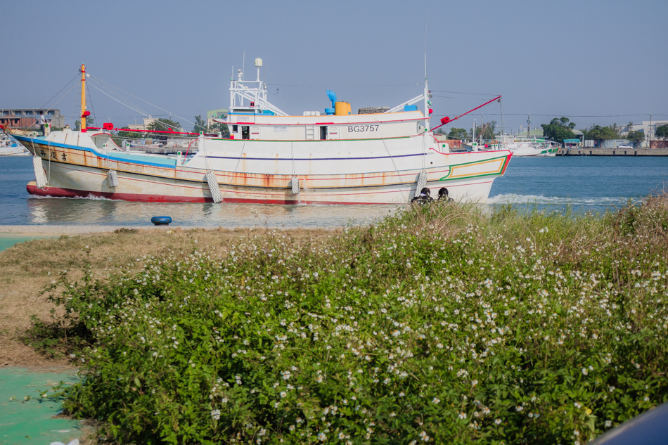 2016茄定烏魚海鮮美食節