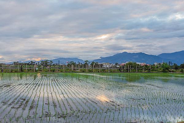 台東小吃 - 王家臭豆腐&卑南豬血湯